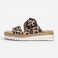 Jocelyn 51 Natur/Leopard