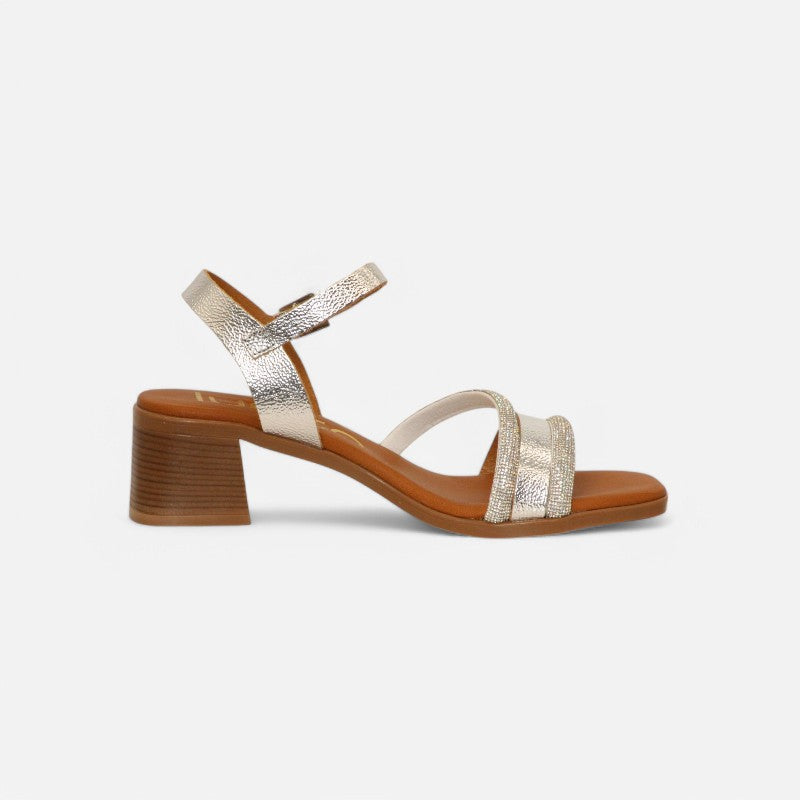 Women's Blair Platinum